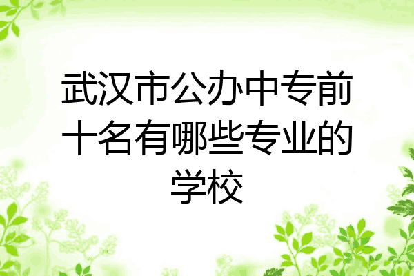 武汉市公办中专前十名有哪些专业的学校
