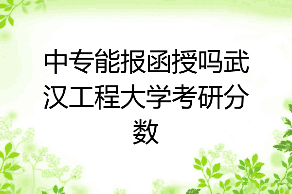 中专能报函授吗武汉工程大学考研分数