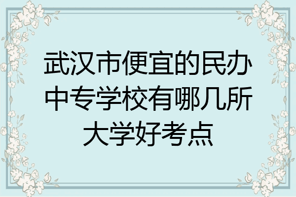 武汉市便宜的民办中专学校有哪几所大学好考点