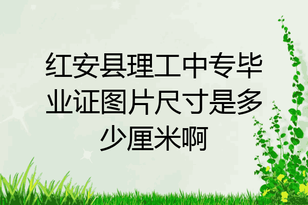 红安县理工中专毕业证图片尺寸是多少厘米啊