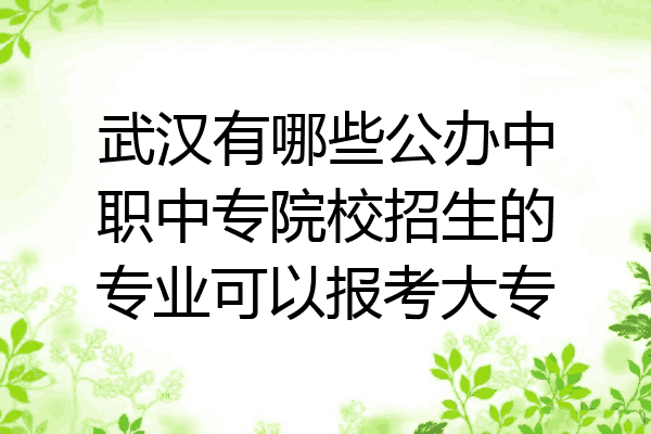 武汉有哪些公办中职中专院校招生的专业可以报考大专