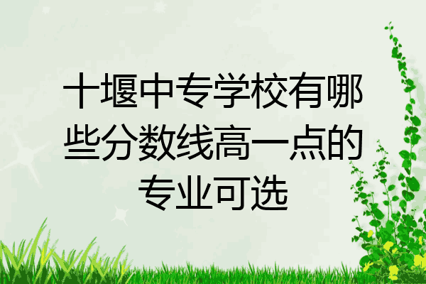 十堰中专学校有哪些分数线高一点的专业可选