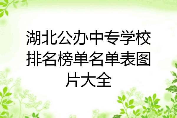 湖北公办中专学校排名榜单名单表图片大全