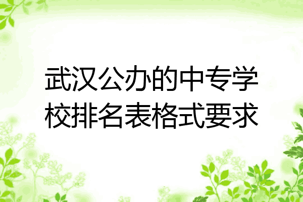 武汉公办的中专学校排名表格式要求
