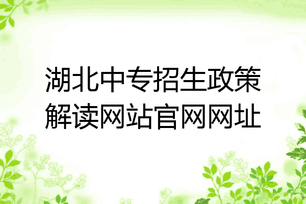湖北中专招生政策解读网站官网网址