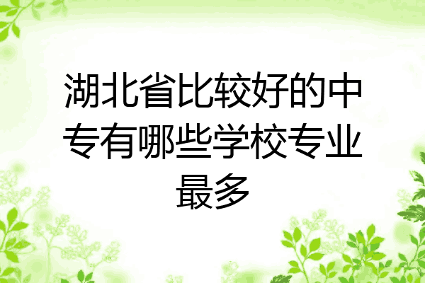 湖北省比较好的中专有哪些学校专业最多