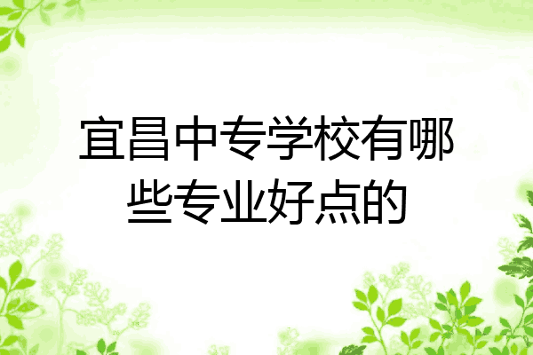 宜昌中专学校有哪些专业好点的
