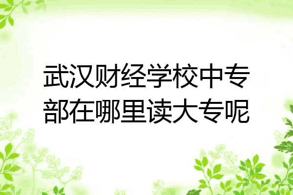 武汉财经学校中专部在哪里读大专呢