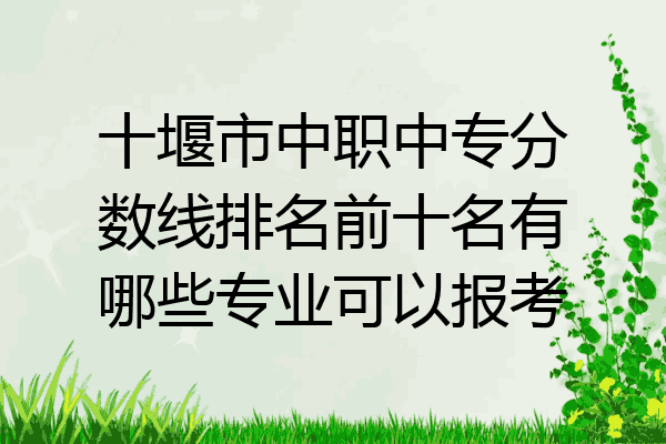 十堰市中职中专分数线排名前十名有哪些专业可以报考