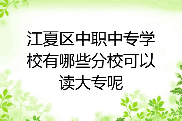 江夏区中职中专学校有哪些分校可以读大专呢