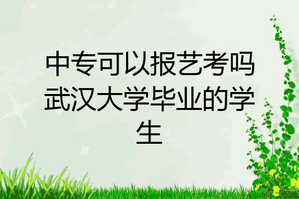 中专可以报艺考吗武汉大学毕业的学生