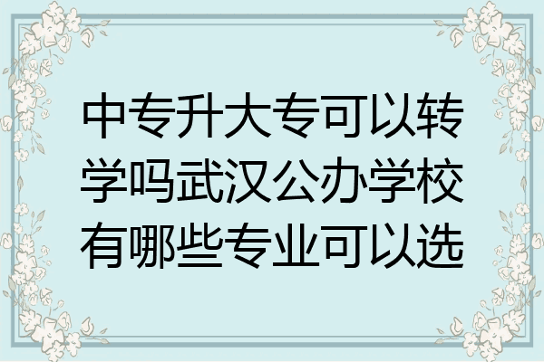 中专升大专可以转学吗武汉公办学校有哪些专业可以选