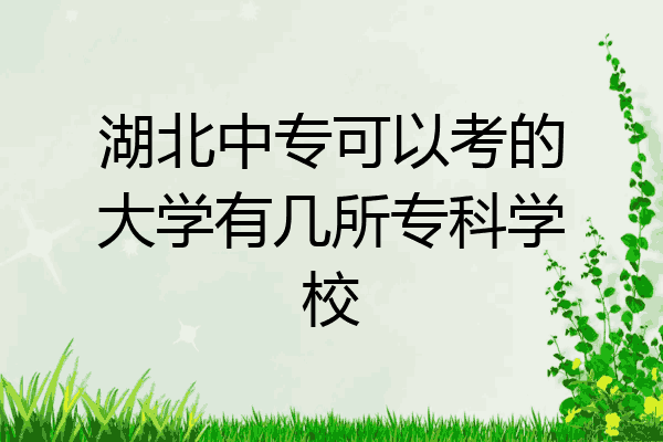 湖北中专可以考的大学有几所专科学校