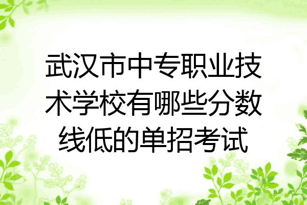 武汉市中专职业技术学校有哪些分数线低的单招考试