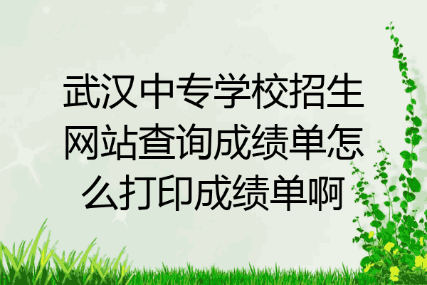 武汉中专学校招生网站查询成绩单怎么打印成绩单啊