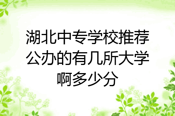 湖北中专学校推荐公办的有几所大学啊多少分