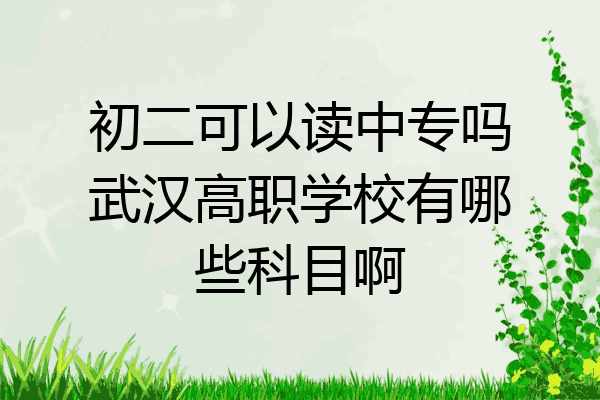 初二可以读中专吗武汉高职学校有哪些科目啊