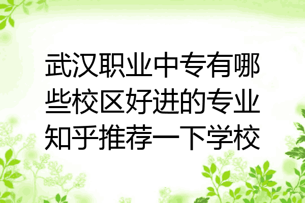 武汉职业中专有哪些校区好进的专业知乎推荐一下学校