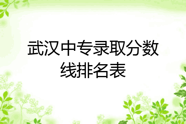 武汉中专录取分数线排名表