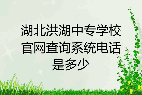 湖北洪湖中专学校官网查询系统电话是多少