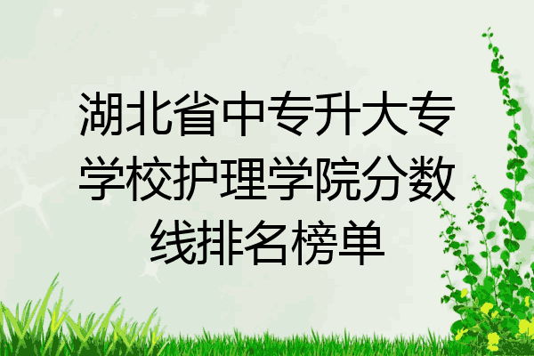 湖北省中专升大专学校护理学院分数线排名榜单