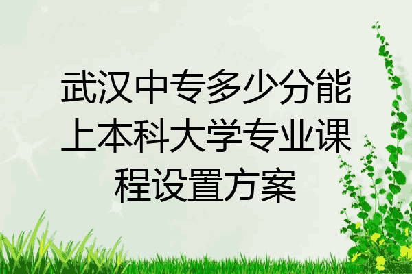 武汉中专多少分能上本科大学专业课程设置方案