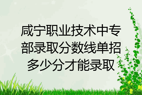 咸宁职业技术中专部录取分数线单招多少分才能录取