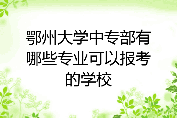 鄂州大学中专部有哪些专业可以报考的学校