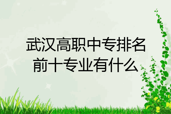 武汉高职中专排名前十专业有什么