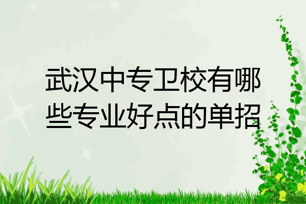 武汉中专卫校有哪些专业好点的单招