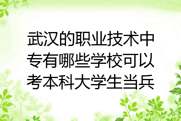 武汉的职业技术中专有哪些学校可以考本科大学生当兵