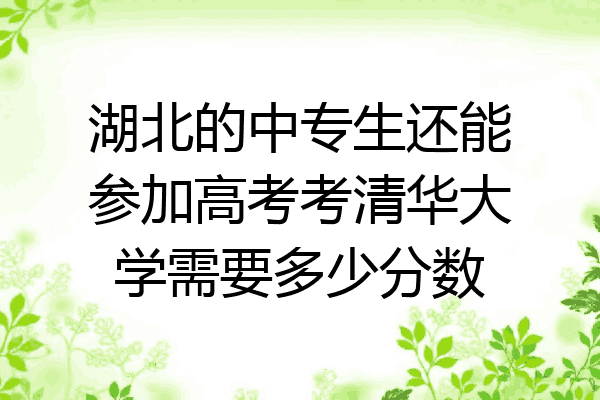 湖北的中专生还能参加高考考清华大学需要多少分数