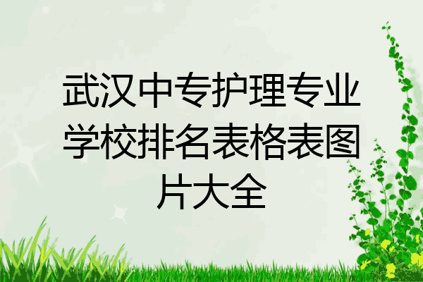 武汉中专护理专业学校排名表格表图片大全
