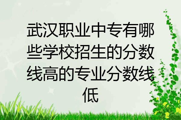武汉职业中专有哪些学校招生的分数线高的专业分数线低