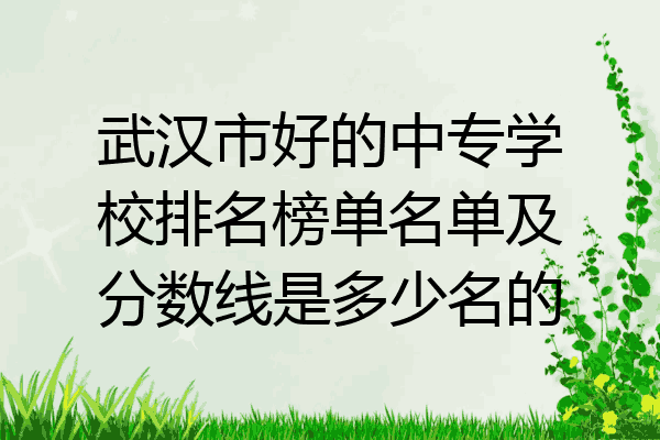 武汉市好的中专学校排名榜单名单及分数线是多少名的