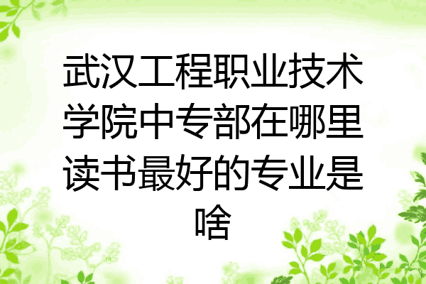 武汉工程职业技术学院中专部在哪里读书最好的专业是啥
