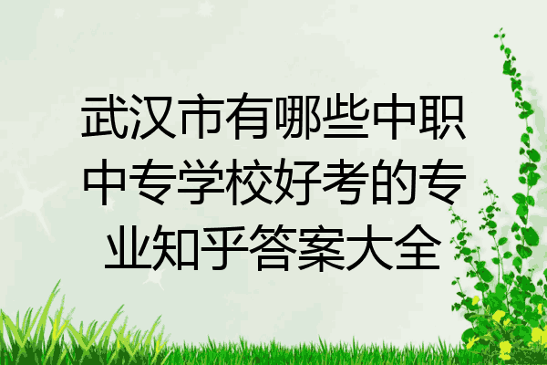 武汉市有哪些中职中专学校好考的专业知乎答案大全