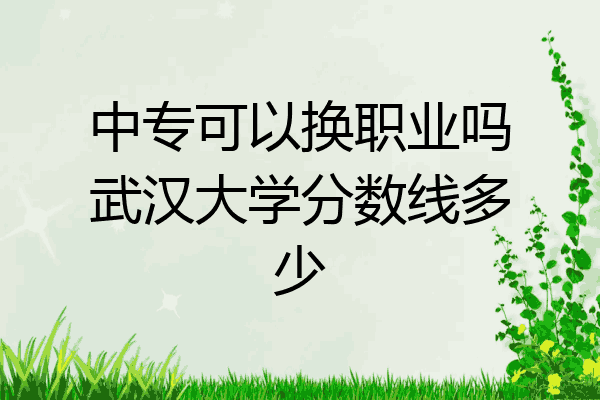中专可以换职业吗武汉大学分数线多少
