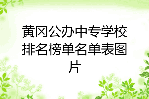 黄冈公办中专学校排名榜单名单表图片
