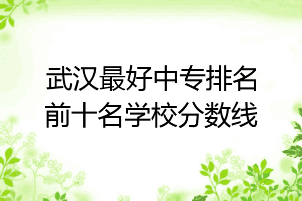 武汉最好中专排名前十名学校分数线