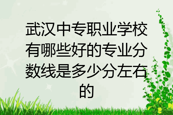 武汉中专职业学校有哪些好的专业分数线是多少分左右的