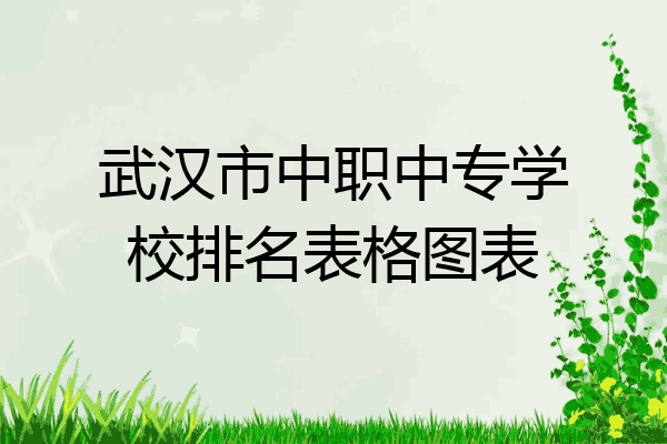 武汉市中职中专学校排名表格图表