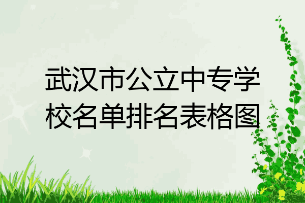 武汉市公立中专学校名单排名表格图