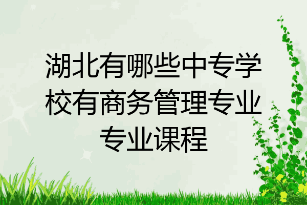 湖北有哪些中专学校有商务管理专业专业课程