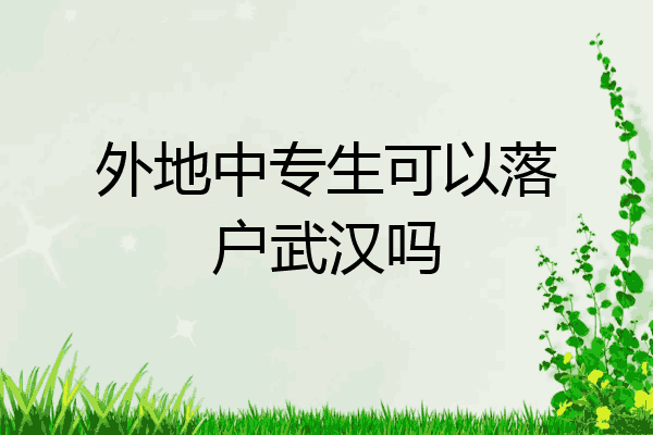 外地中专生可以落户武汉吗