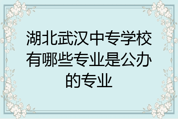 湖北武汉中专学校有哪些专业是公办的专业