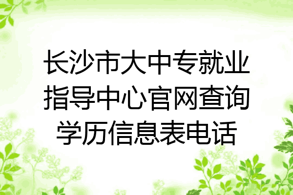 长沙市大中专就业指导中心官网查询学历信息表电话