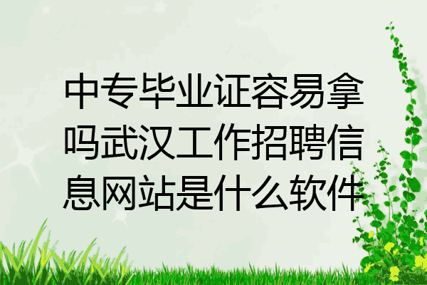 中专毕业证容易拿吗武汉工作招聘信息网站是什么软件