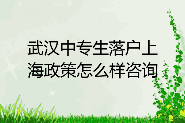 武汉中专生落户上海政策怎么样咨询