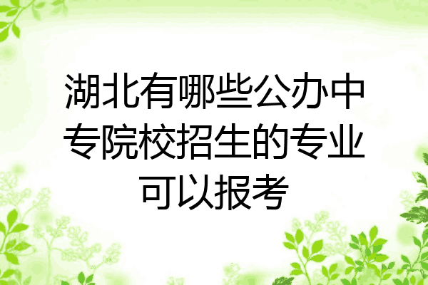 湖北有哪些公办中专院校招生的专业可以报考